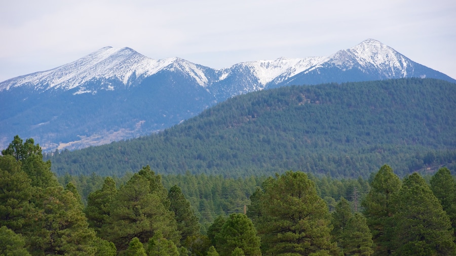 Humphreys Peak