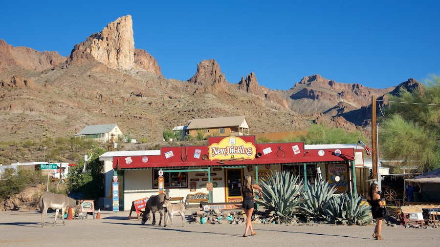 Oatman mostrando vista al desierto y imágenes de calles
