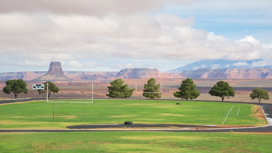 59 Car Rental Page, AZ Expedia
