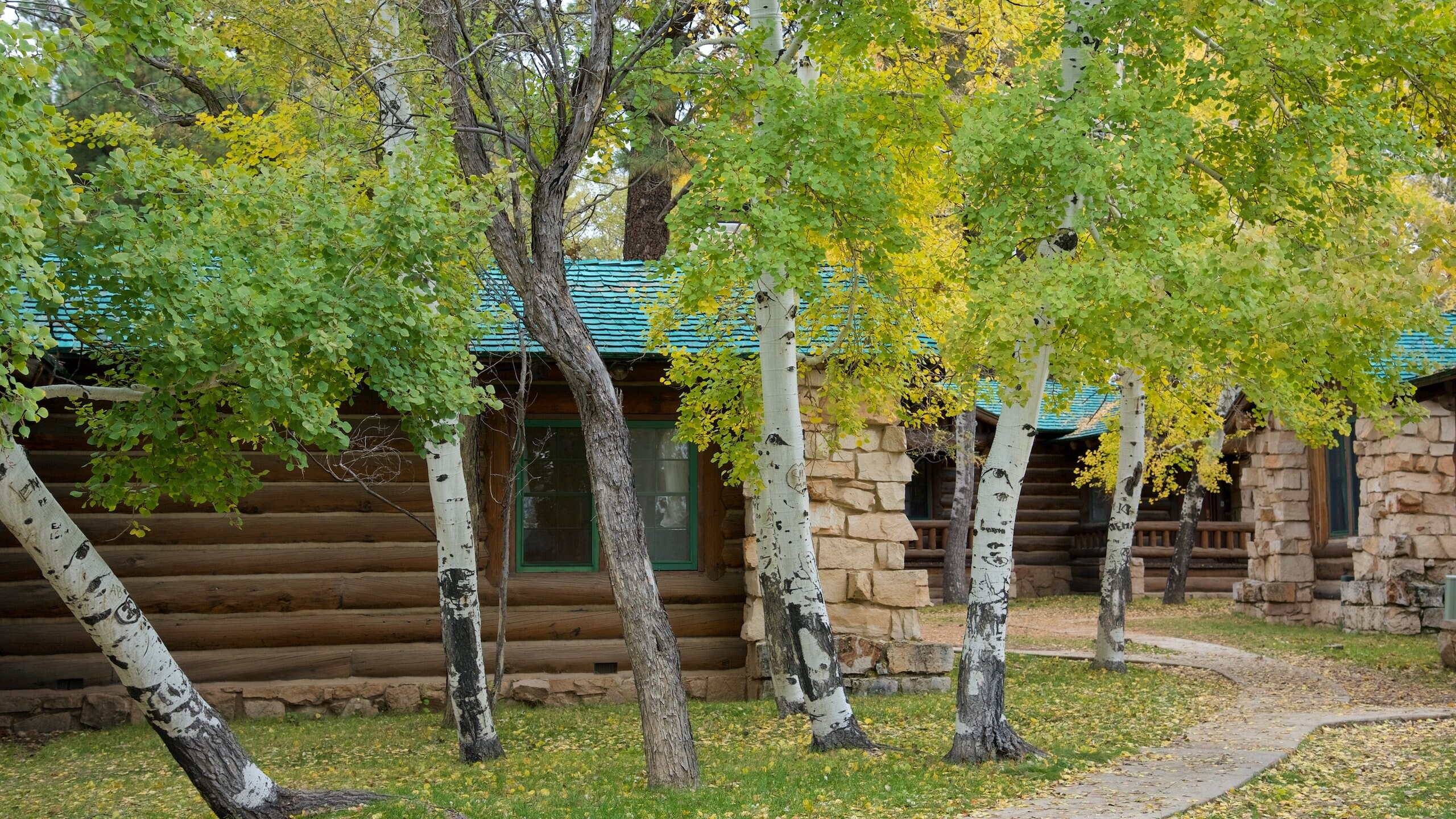 Visit North Rim: Best of North Rim Tourism | Expedia Travel Guide