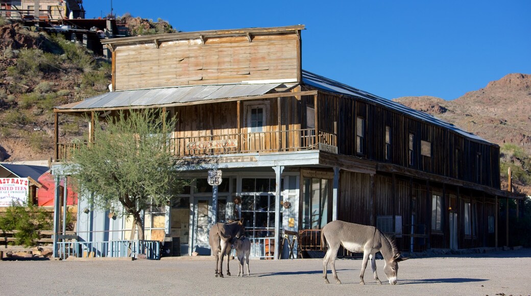 Oatman caratteristiche di strade e animali di terra