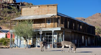 Oatman caratteristiche di strade e animali di terra