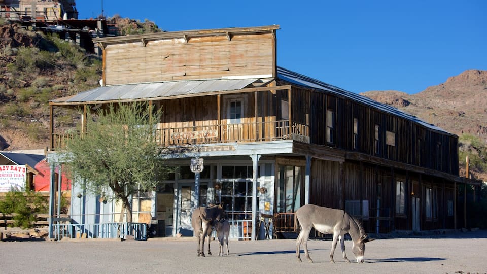 Oatman caratteristiche di strade e animali di terra