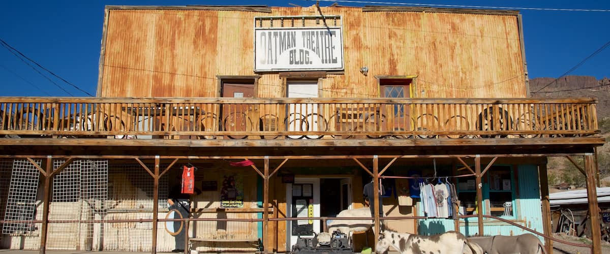Oatman showing street scenes and land animals