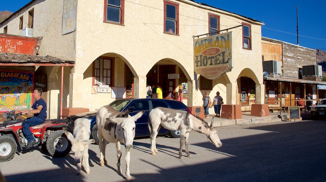 Oatman featuring street scenes and land animals