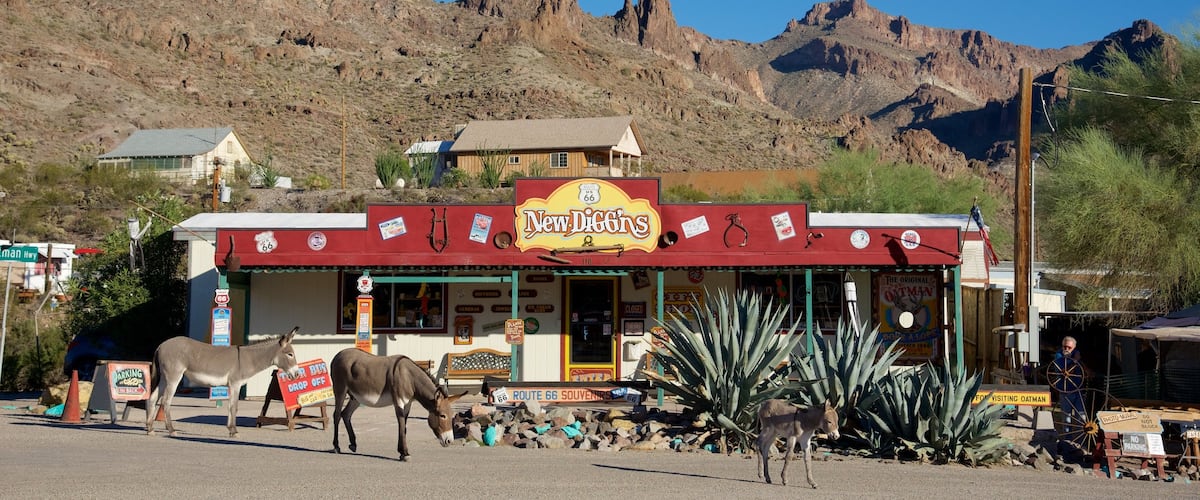 Oatman mostrando escenas urbanas y animales terrestres