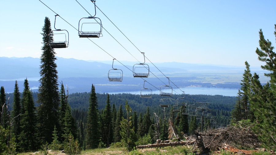 Brundage Mountain Ski Resort featuring a gondola and forests