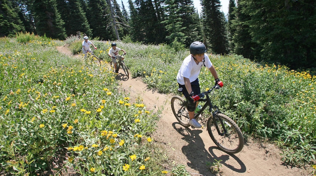Foto proporcionada por Doug Karcher/Brundage Mountain Resort