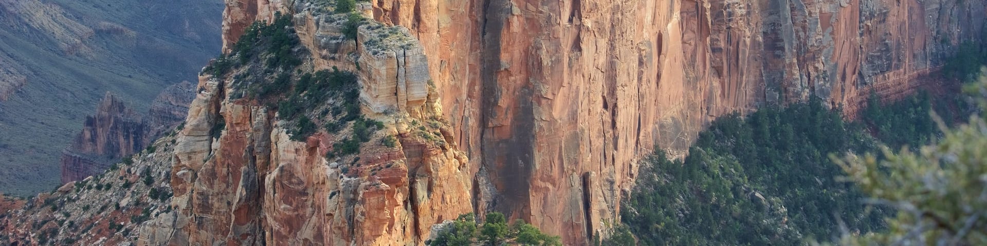 Cape Royal showing a gorge or canyon and desert views