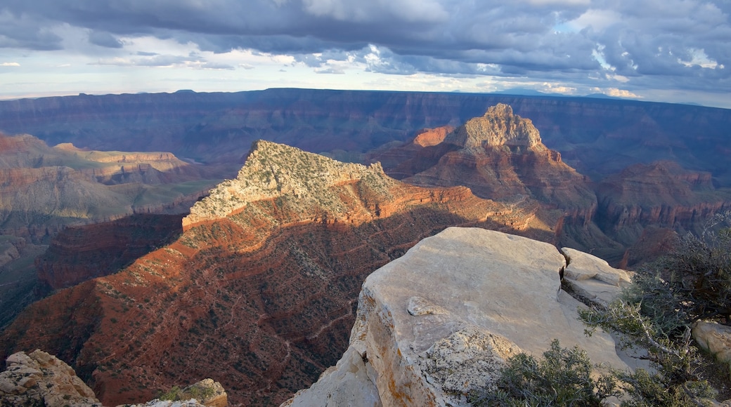 Cape Royal showing desert views, a gorge or canyon and landscape views