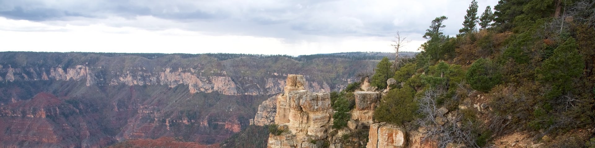 North Rim showing tranquil scenes and landscape views
