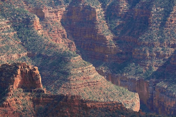 North Rim showing a gorge or canyon, tranquil scenes and landscape views