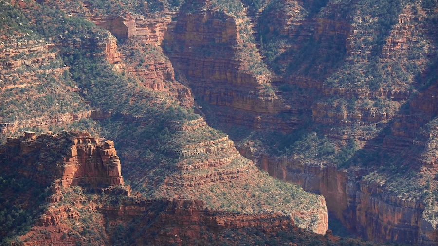 North Rim og byder på fredfyldte omgivelser, en kløft eller slugt og udsigt over landskaber