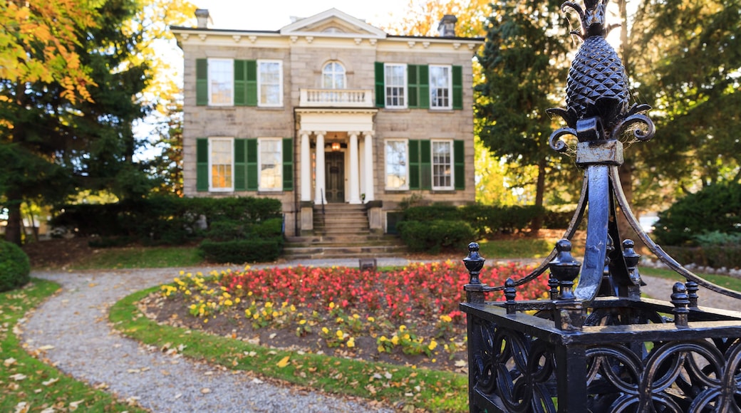 Hamilton showing a house and a park