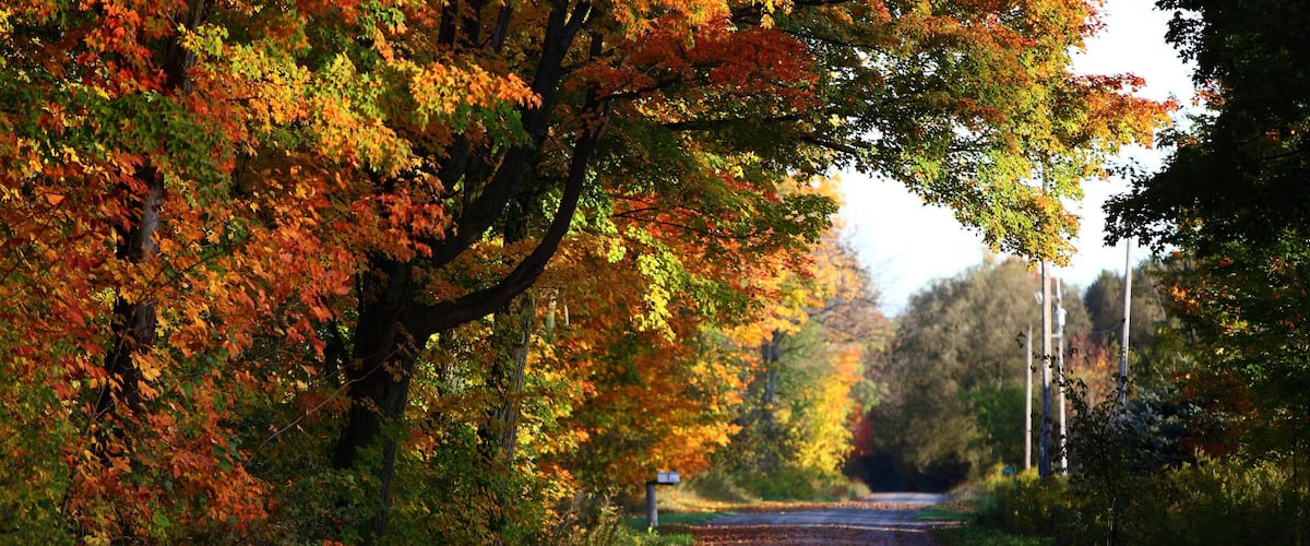 Peterborough featuring fall colors