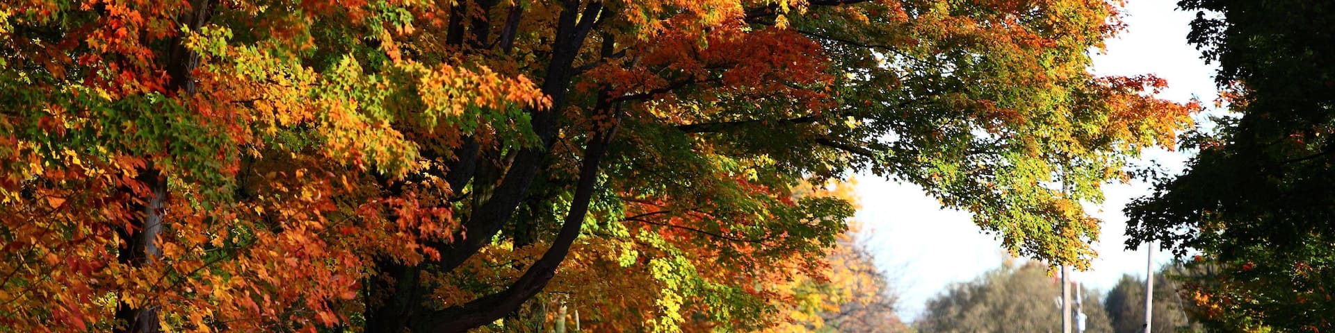 Peterborough das einen Herbstfarben
