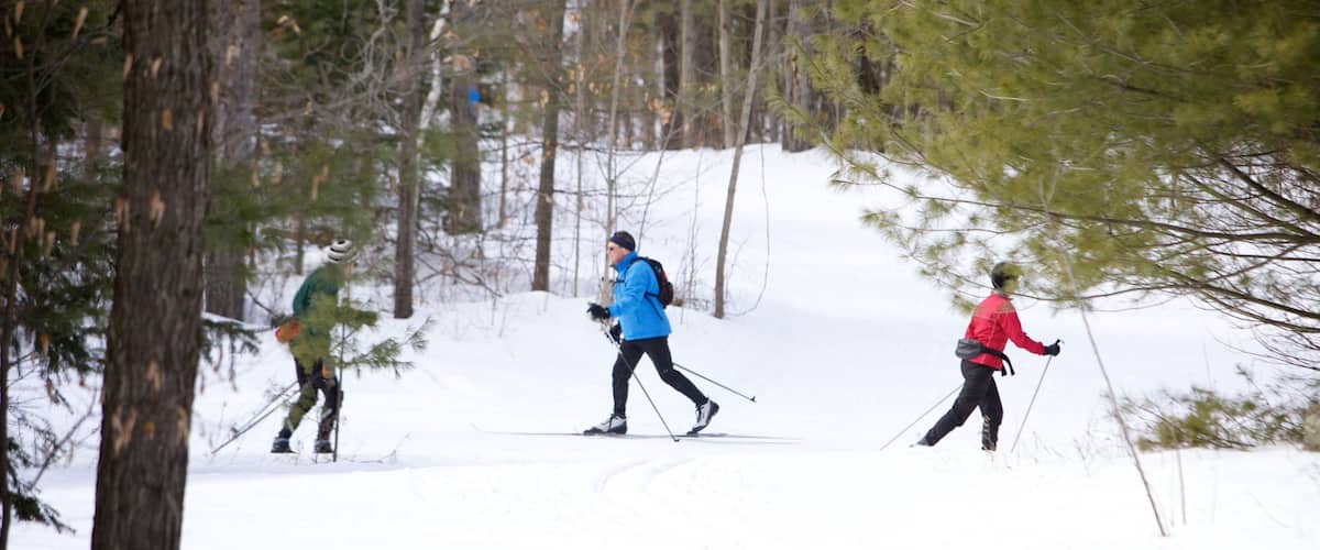 Peterborough featuring snow skiing, forests and snow