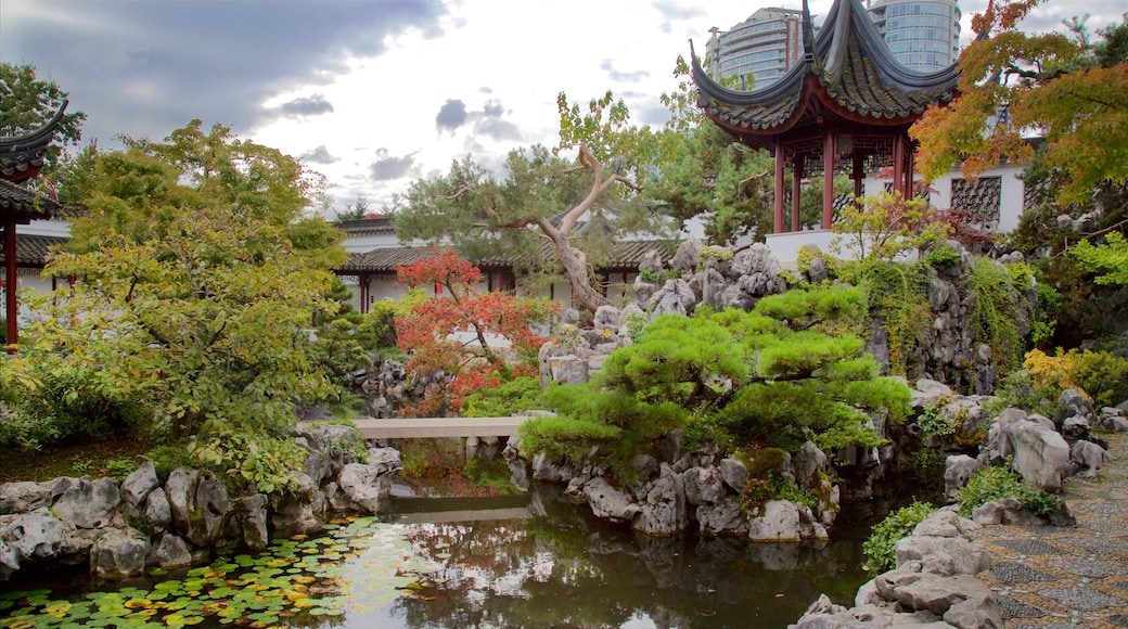 Jardín Clásico Chino del Dr. Sun Yat-Sen ofreciendo un estanque y un parque