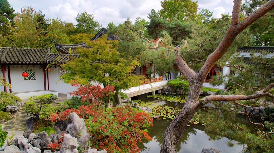 Dr. Sun Yat-Sen Classical Chinese Garden showing a garden