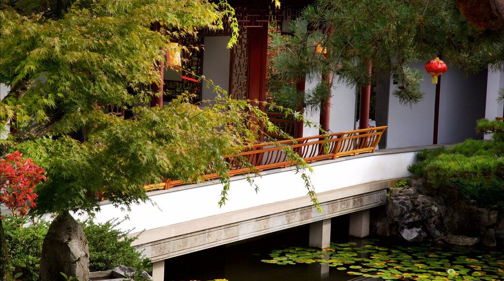 Jardín Clásico Chino del Dr. Sun Yat-Sen ofreciendo un parque y un estanque