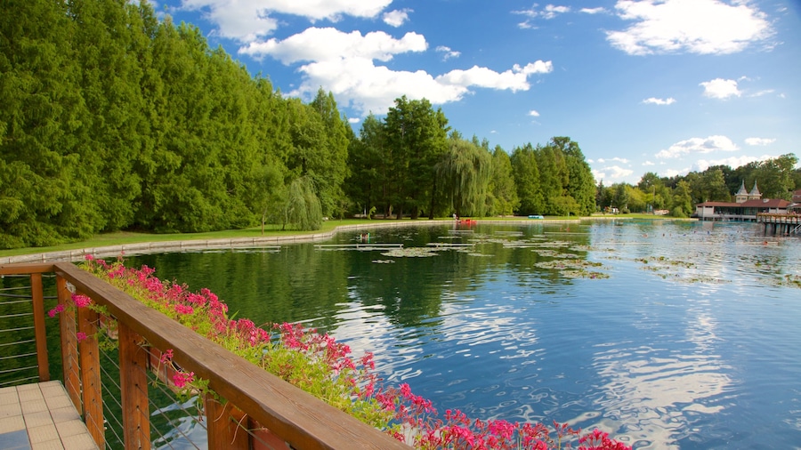 Lago Hévíz que incluye un hotel o complejo turístico de lujo y un lago o laguna