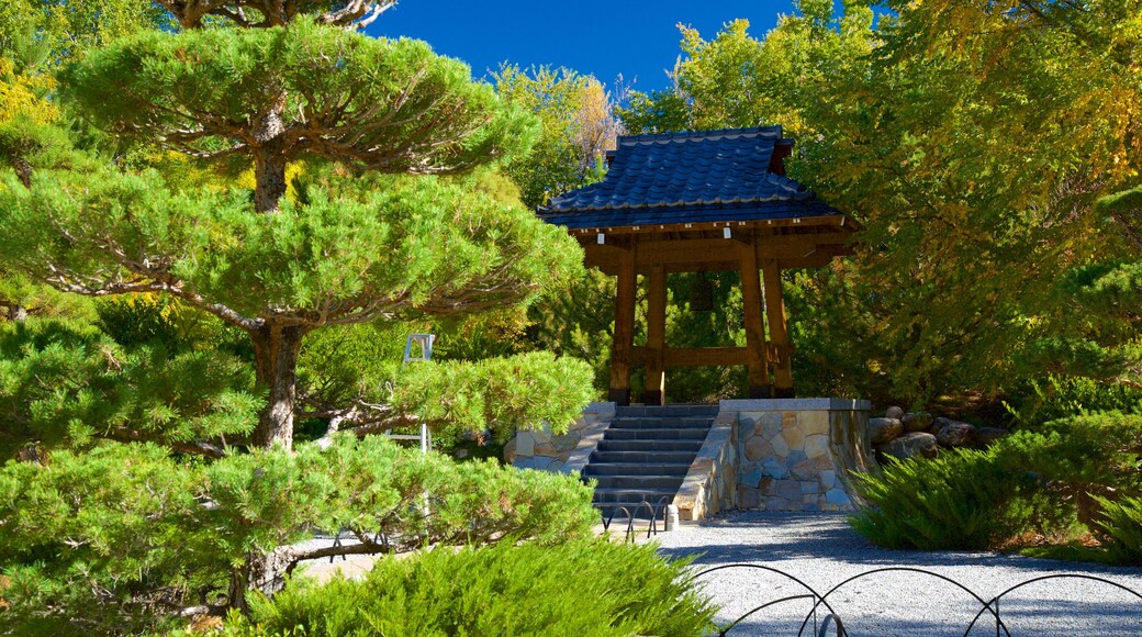 里約格朗德植物園 设有 花園