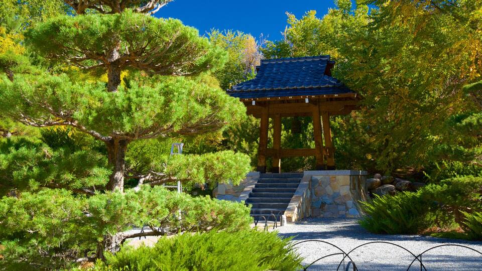 ABQ BioPark Botanic Garden which includes a park