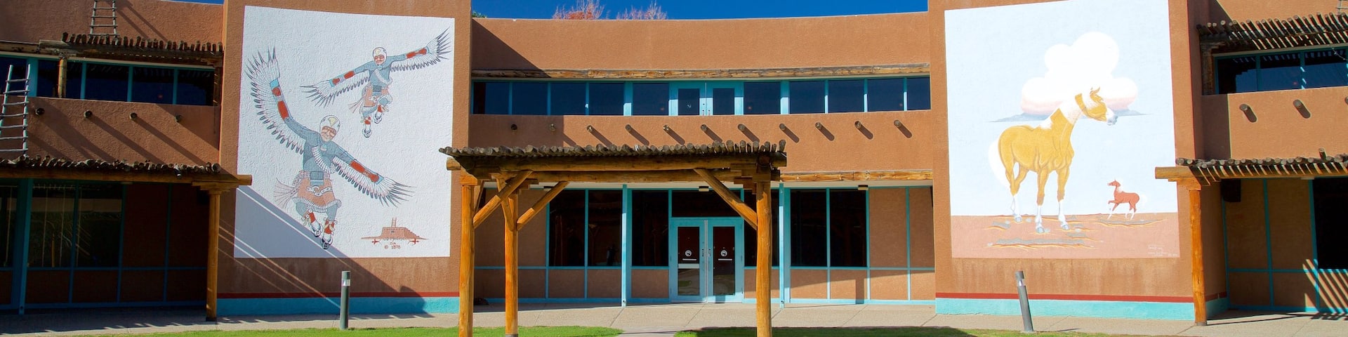 Indian Pueblo Cultural Center showing street scenes