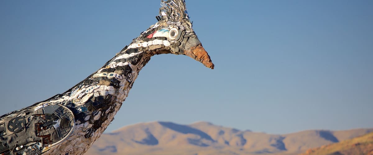 Las Cruces caracterizando arte ao ar livre
