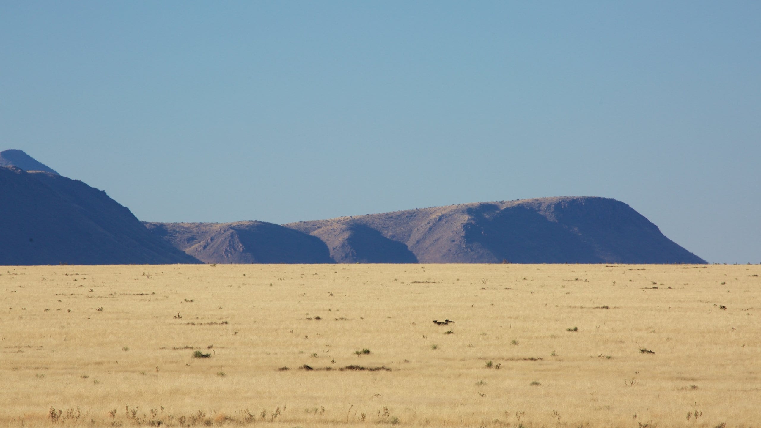 Socorro showing mountains and tranquil scenes