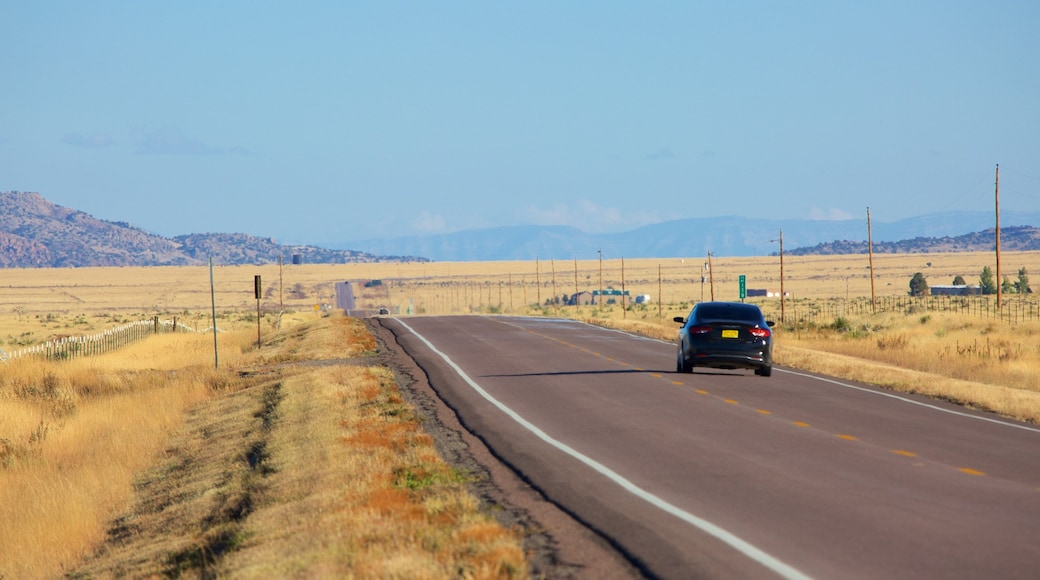 Southwestern New Mexico featuring tranquil scenes and vehicle touring