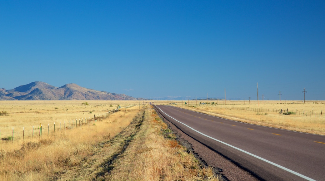 Socorro showing farmland