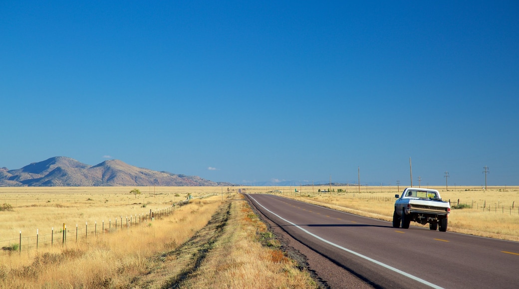 Socorro showing vehicle touring and farmland