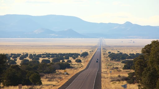 Magdalena showing farmland and landscape views