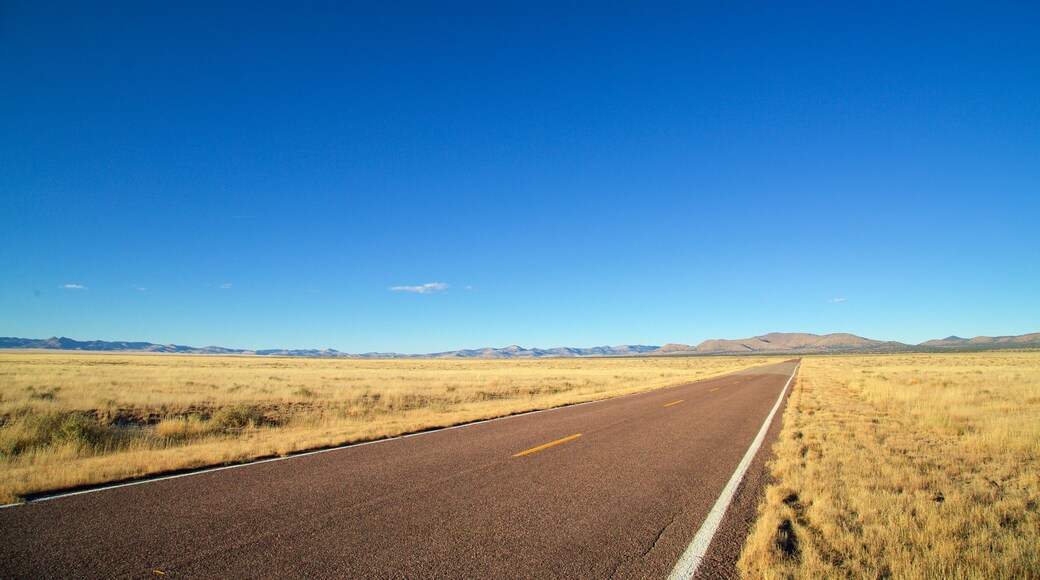 Magdalena showing tranquil scenes