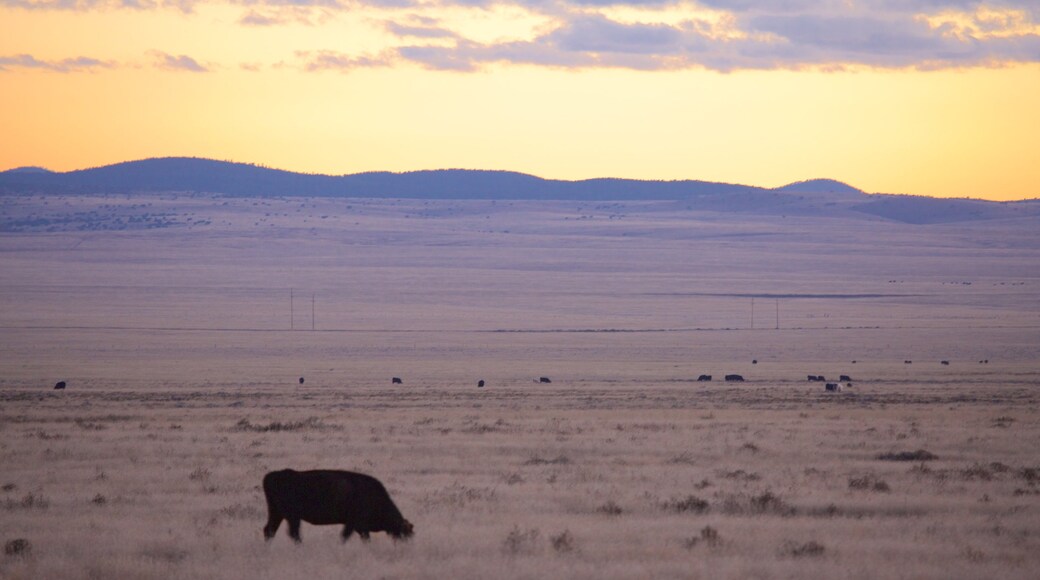 Magdalena mostrando animales terrestres, tierra de cultivo y un atardecer