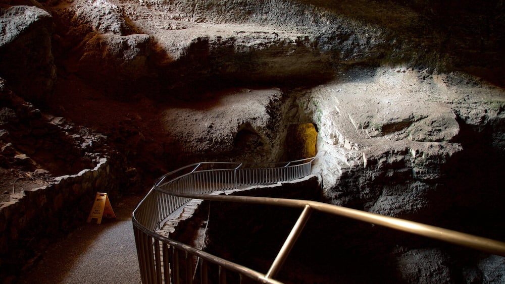 Parc national de Carlsbad Caverns mettant en vedette grottes