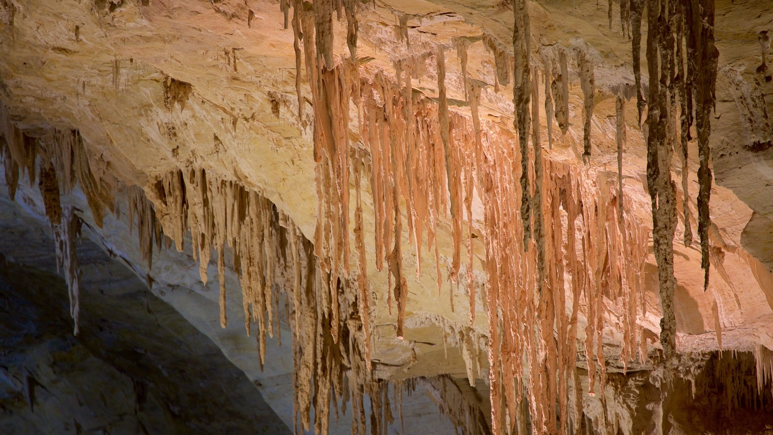 Carlsbad Caverns National Park