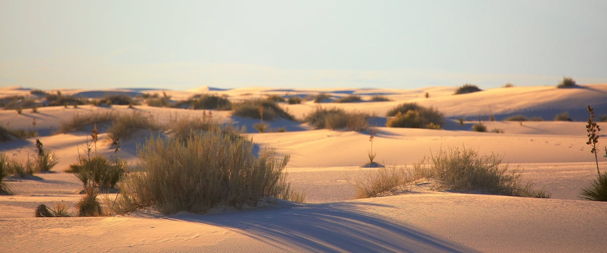 White Sands National Monument showing desert views