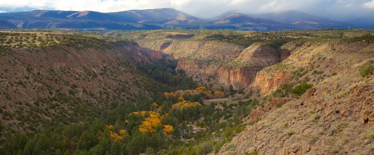 Monumento Nacional Bandelier mostrando escenas tranquilas, vistas de paisajes y un barranco o cañón