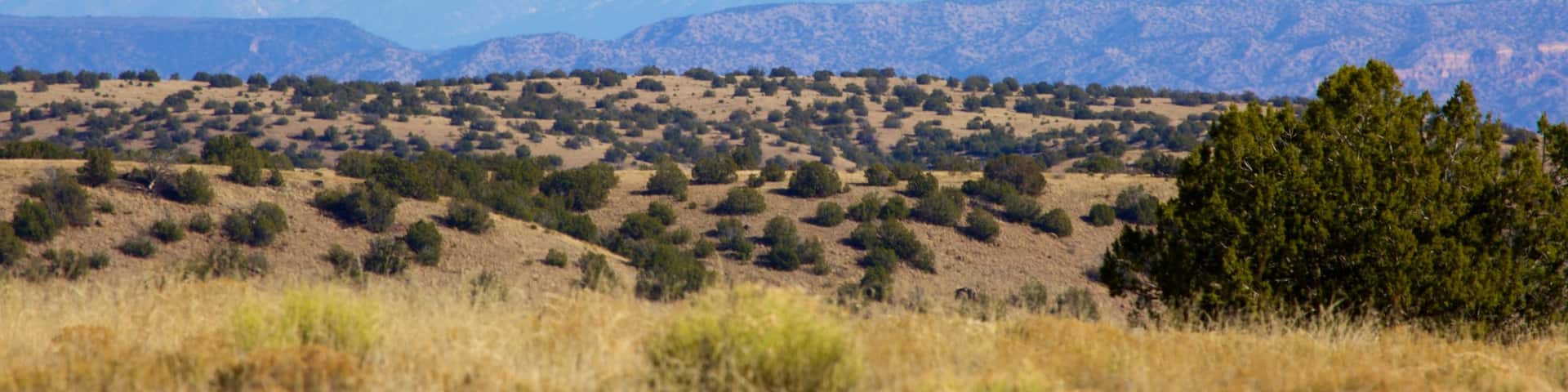 Espanola which includes mountains and tranquil scenes