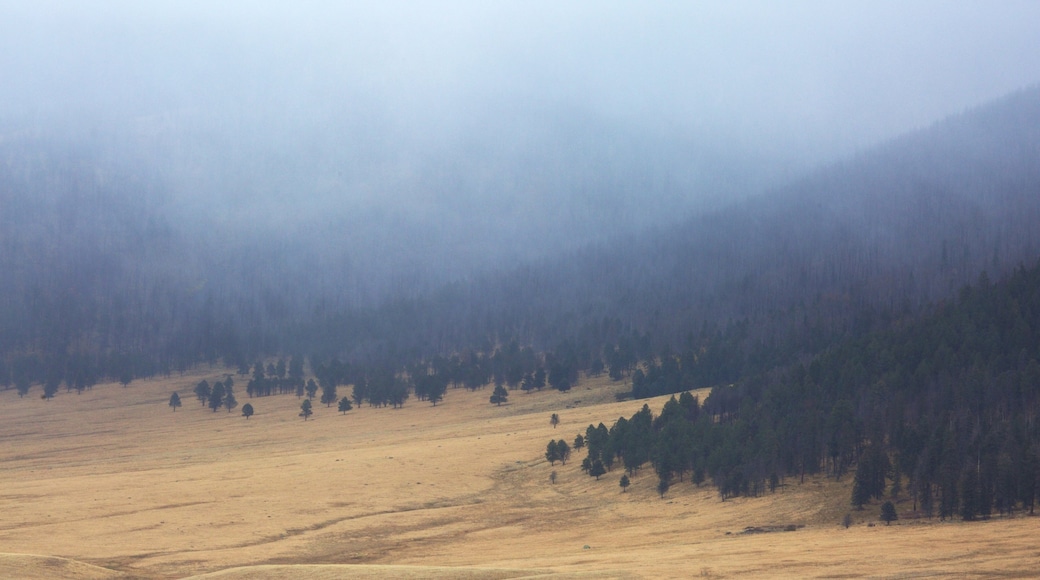 Jemez Springs showing mist or fog, farmland and mountains