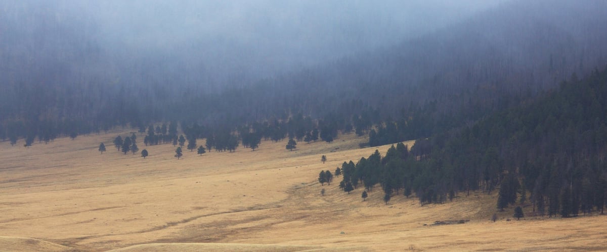 Jemez Springs showing mist or fog, mountains and farmland