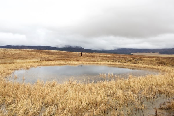 Jemez Springs showing a pond, mist or fog and tranquil scenes