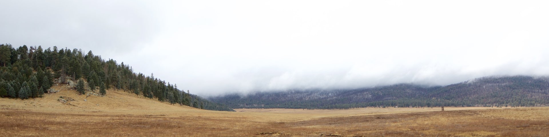 Jemez Springs featuring mist or fog, tranquil scenes and a pond