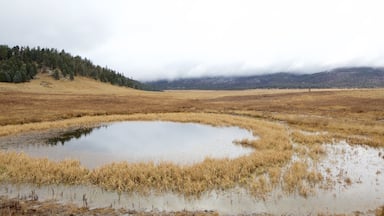 Jemez Springs som inkluderar dimma, en damm och stillsam natur