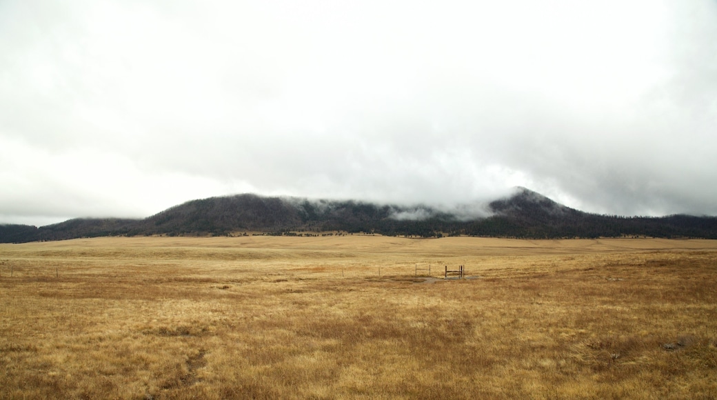 Valles Caldera National Preserve qui includes brume ou brouillard, panoramas et scènes tranquilles