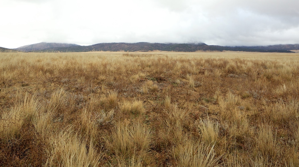 Jemez Springs featuring farmland and mist or fog