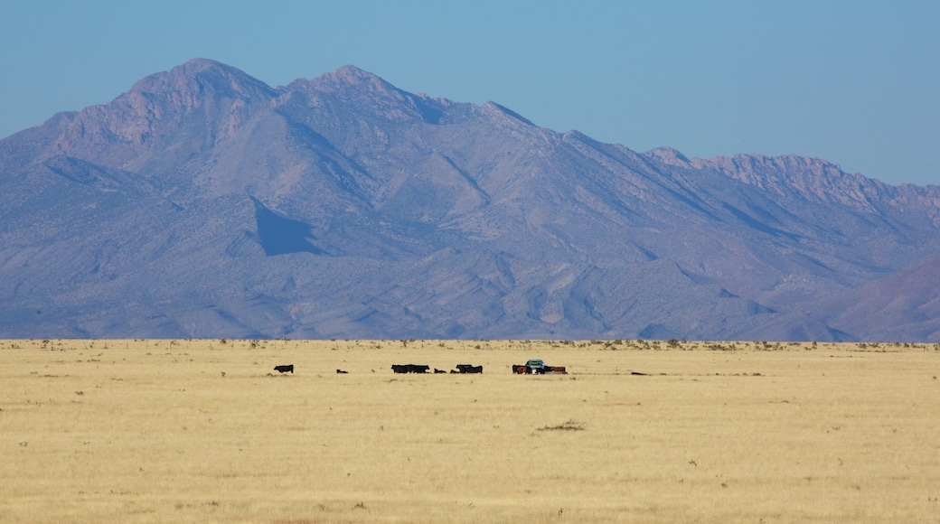 Socorro showing mountains and farmland