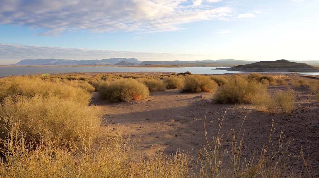 Elephant Butte which includes tranquil scenes and a sandy beach